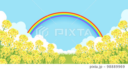 菜の花畑　背景素材 98889969