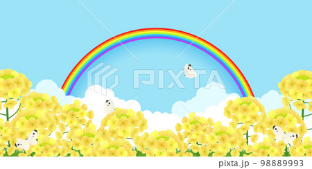 菜の花畑 背景素材 菜の花畑 背景素材 98889993