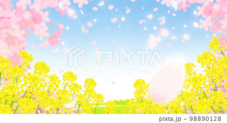 菜の花畑と桜並木　背景素材 98890128