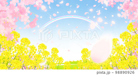 菜の花畑と桜並木　背景素材 98890926
