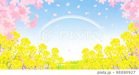 菜の花畑と桜並木　背景素材 98890927