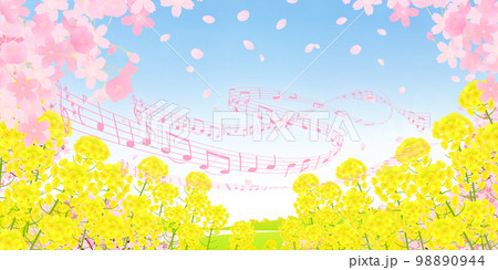 菜の花畑と桜並木　背景素材 98890944