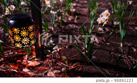 花と光のムーブメントは、足元を照らす灯りも素敵 花と光のムーブメントは、足元を照らす灯りも素敵 98891221