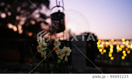 花と光のムーブメントは入口付近、和の情緒感 花と光のムーブメントは入口付近、和の情緒感 98891225