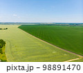 Beautiful wheat field green aerial view 98891470