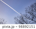 自然 木 斜線 98892151