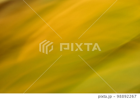 背景 幻想的な光線のライン模様 うねり 曲線 抽象背景 黄色・金色背景 背景 幻想的な光線のライン模様 うねり 曲線 抽象背景 黄色・金色背景 98892267