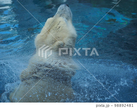 水きりぶるぶる 水きりぶるぶる 98892481