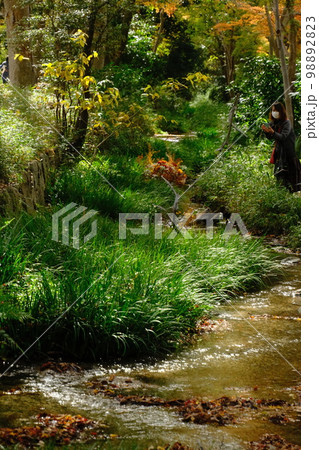 瀬見の小川 瀬見の小川 98892823