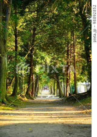 岐阜県可児市　白髭神社の参道 98892852