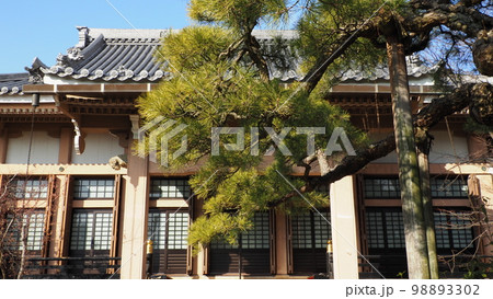 愛知県日進市 妙仙寺 臥龍の松 98893302