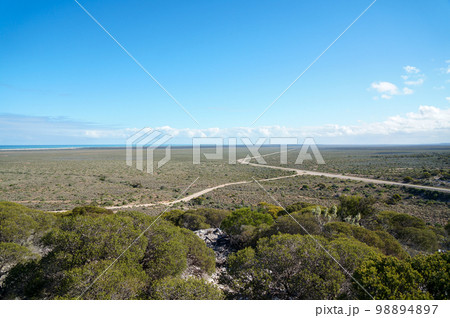 ウェスタンオーストラリアに広がる平原と道 98894897