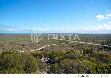 西オーストラリア州に広がる大平原と道 98894898