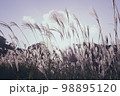 すすき 98895120