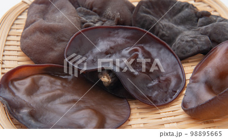 きくらげ きくらげ 98895665