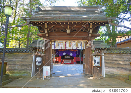 赤坂氷川神社　桜門 98895700