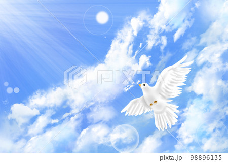 光りを受けて青空を羽ばたく白鳩 98896135