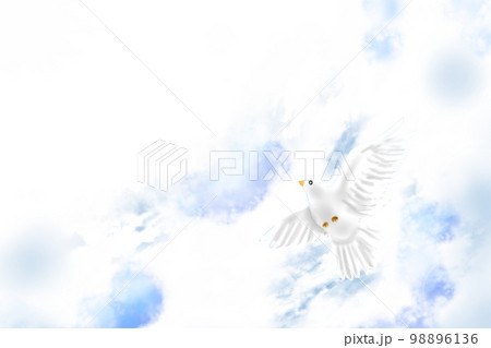 光りを受けて空を羽ばたく白鳩2 98896136