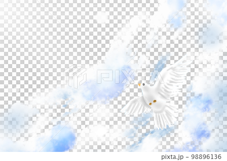 光りを受けて空を羽ばたく白鳩2 98896136