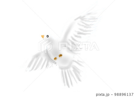 空を羽ばたく白鳩 98896137