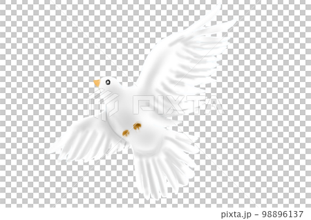 空を羽ばたく白鳩 98896137