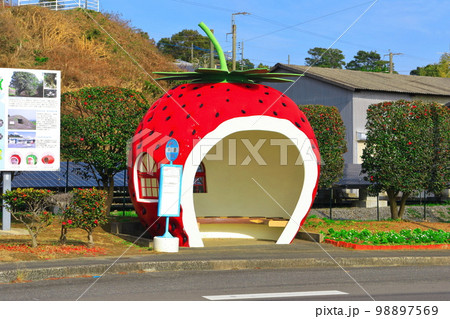 【長崎県】イチゴのフルーツバス停（平原） 98897569