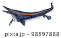 プラテカルプス　深海に降りて行くモササウルス類 98897888