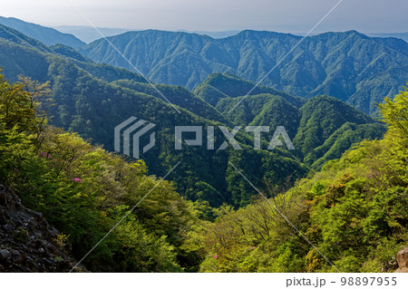 新緑の丹沢・石棚山稜から見る鍋割山稜線 98897955
