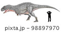 ピクノネモサウルス　カルノタウスルに匹敵する大きさが推定されるブラジル産のアベリサウルス科 98897970