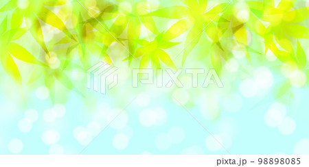 新緑　もみじ　葉　背景 98898085