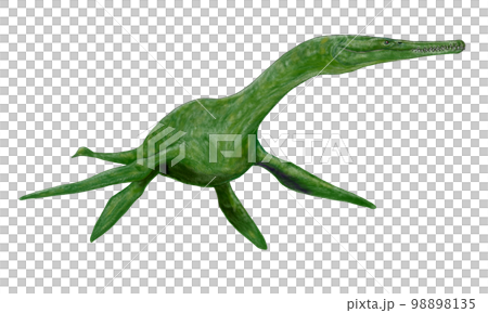 マクロプラタ　小型だが危険な捕食者 98898135