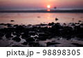 Beautiful view sunset over sea, ocean waves crashing on a stones beach 98898305