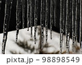 屋根からのびるつらら 98898549
