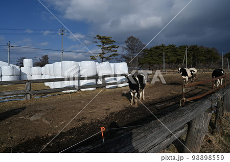 八ケ岳農場 98898559
