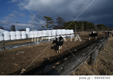 八ケ岳農場 八ケ岳農場 98898560