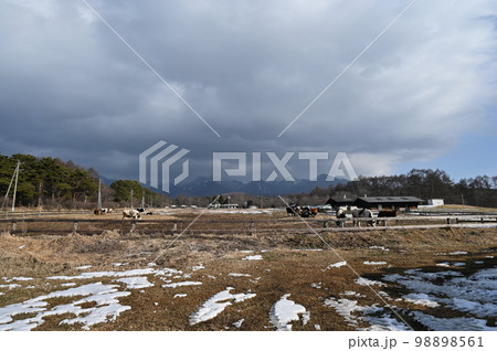 八ケ岳農場 八ケ岳農場 98898561