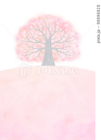 大きな桜の木 98898828