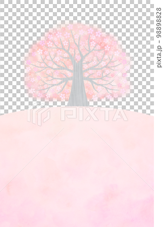大きな桜の木 98898828