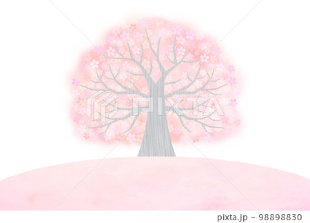 大きな桜の木 98898830