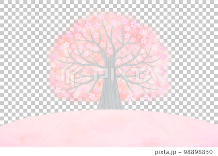 大きな桜の木 98898830
