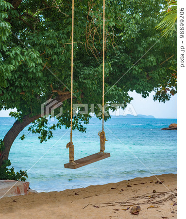 Swing on beach. landscape vacation tropical sunny beach Koh Larn island, Famous landmark tourist travel Koh Larn Thailand fun beach summer holiday trip, Tourism destination place Asia Swing on beach. landscape vacation tropical sunny beach Koh Larn island, Famous landmark tourist travel Koh Larn Thailand fun beach summer holiday trip, Tourism destination place Asia 98899206