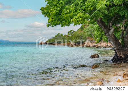 Landscape, sea, southeast asia. Beautiful landscape, Koh Larn island, Pattaya, Thailand. 98899207