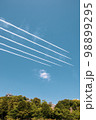 航空自衛隊　ブルーインパルス 98899295
