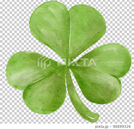watercolour st Patrick lucky clover three leaf cartoon hand painting 98899326