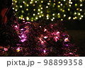足下の小さなイルミネーション（公園植栽の地表上） 98899358