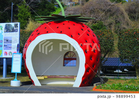 【長崎県】イチゴのフルーツバス停(平原) 【長崎県】イチゴのフルーツバス停(平原) 98899453