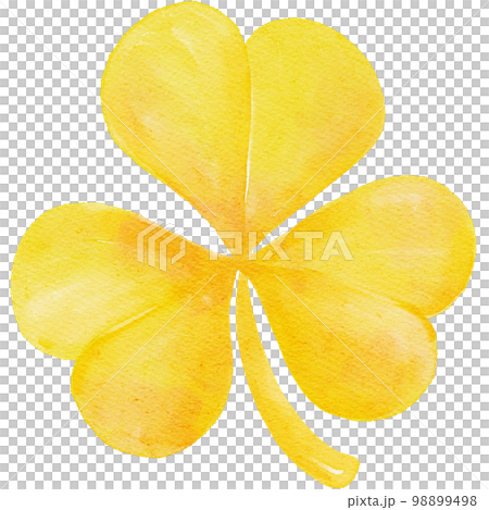 watercolour st Patrick lucky yellow clover three leaf cartoon hand painting watercolour st Patrick lucky yellow clover three leaf cartoon hand painting 98899498
