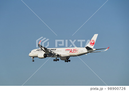 着陸態勢の航空機 着陸態勢の航空機 98900726