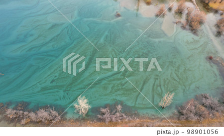 Turquoise blue mirror water with trees in the lake 98901056