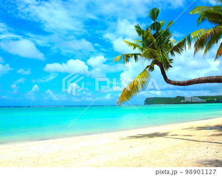グアムの海 グアムの海 98901127